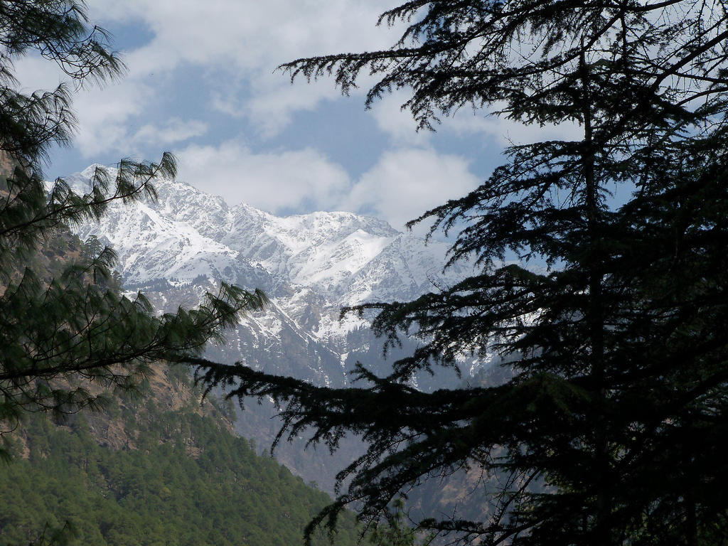 Parvati Kuteer Riverside Resort Kasol Dış mekan fotoğraf