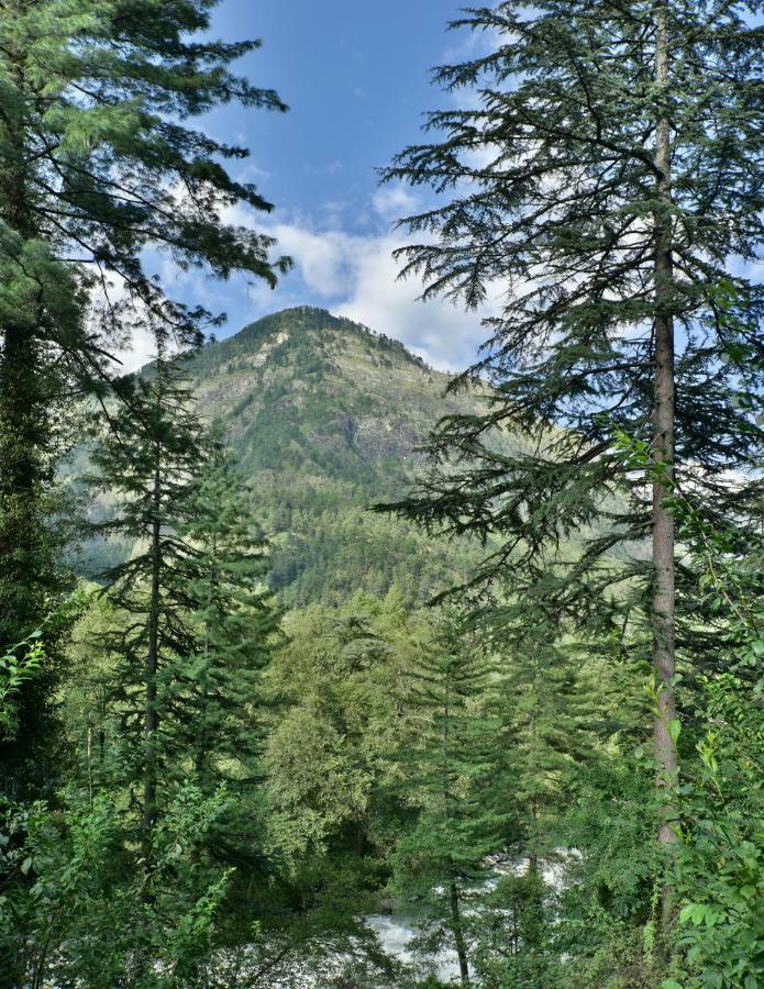 Parvati Kuteer Riverside Resort Kasol Dış mekan fotoğraf